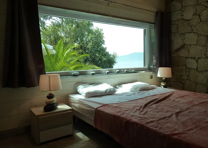 Vbyonyx Olmeto (Corsica)