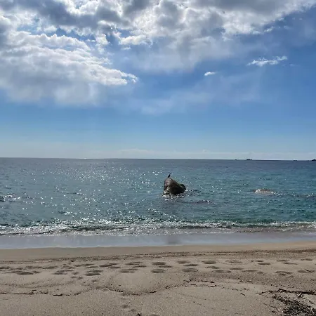 Vbyonyx Olmeto (Corsica)