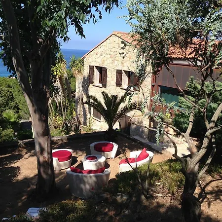 Vbyonyx Olmeto (Corsica)