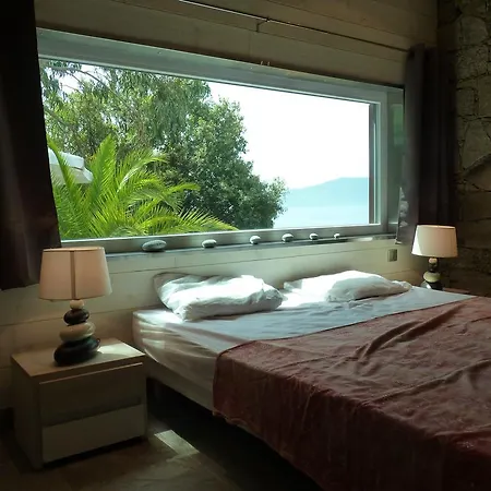 Vbyonyx Olmeto (Corsica)