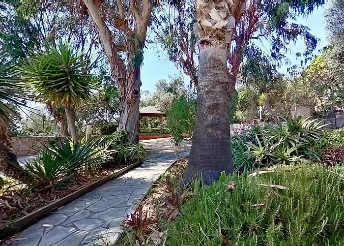 Vbyonyx Olmeto (Corsica)