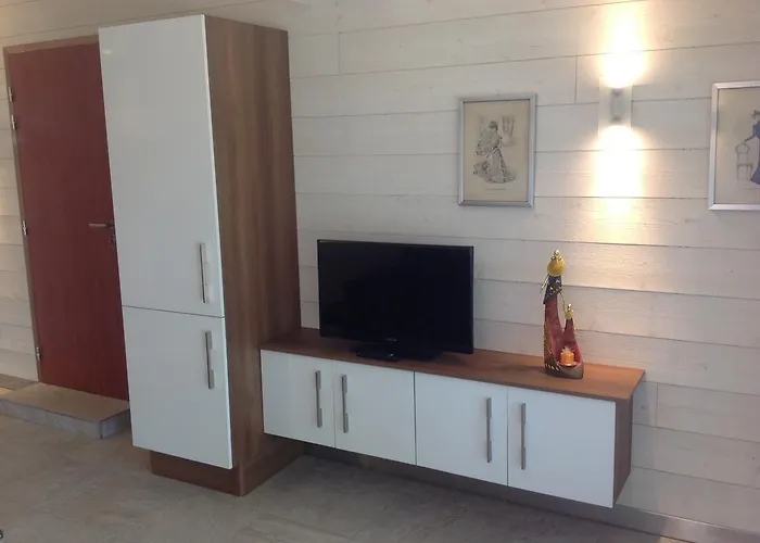 Vbyonyx Olmeto (Corsica)