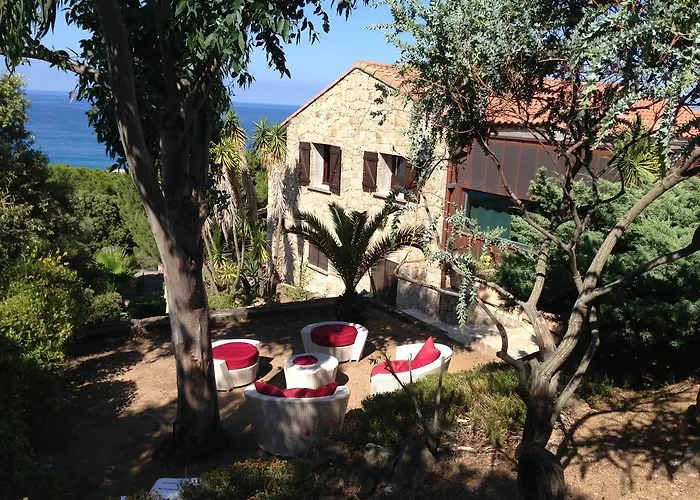 Vbyonyx Olmeto (Corsica)