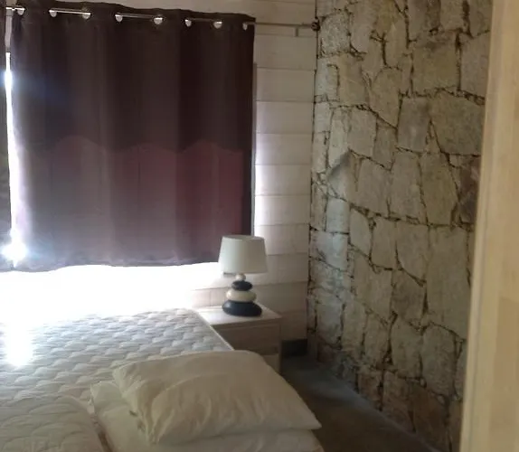 Vbyonyx Olmeto (Corsica)